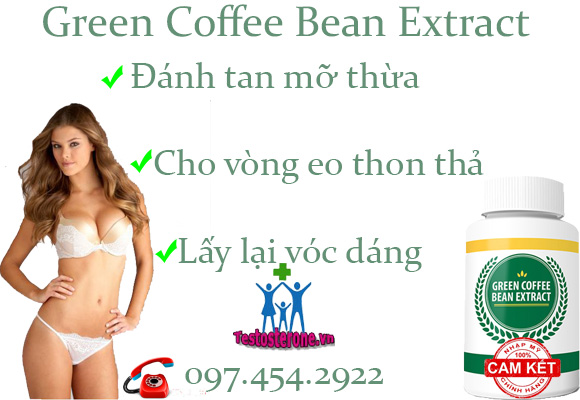 green-coffee-bean-extract-2