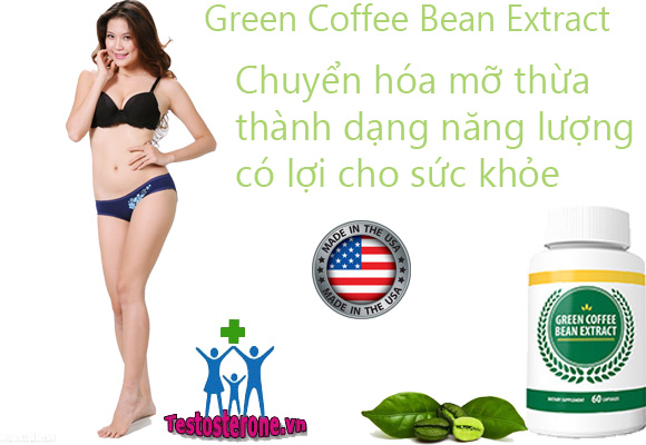 green-coffee-bean-extract-7